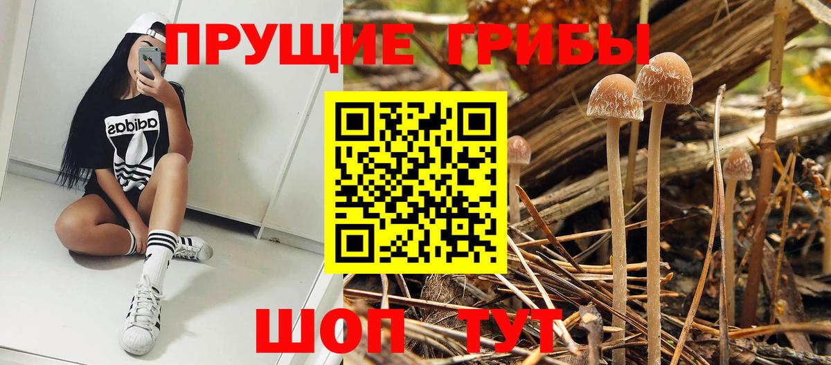 Псилоцибиновые грибы MAGIC MUSHROOMS  Вход с VPN  Галлюциногенные грибы мицелий  Ленинск-Кузнецкий 